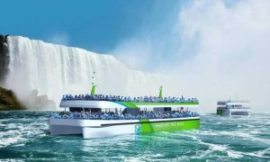 Best Indian Restaurants in Niagara Falls, NY