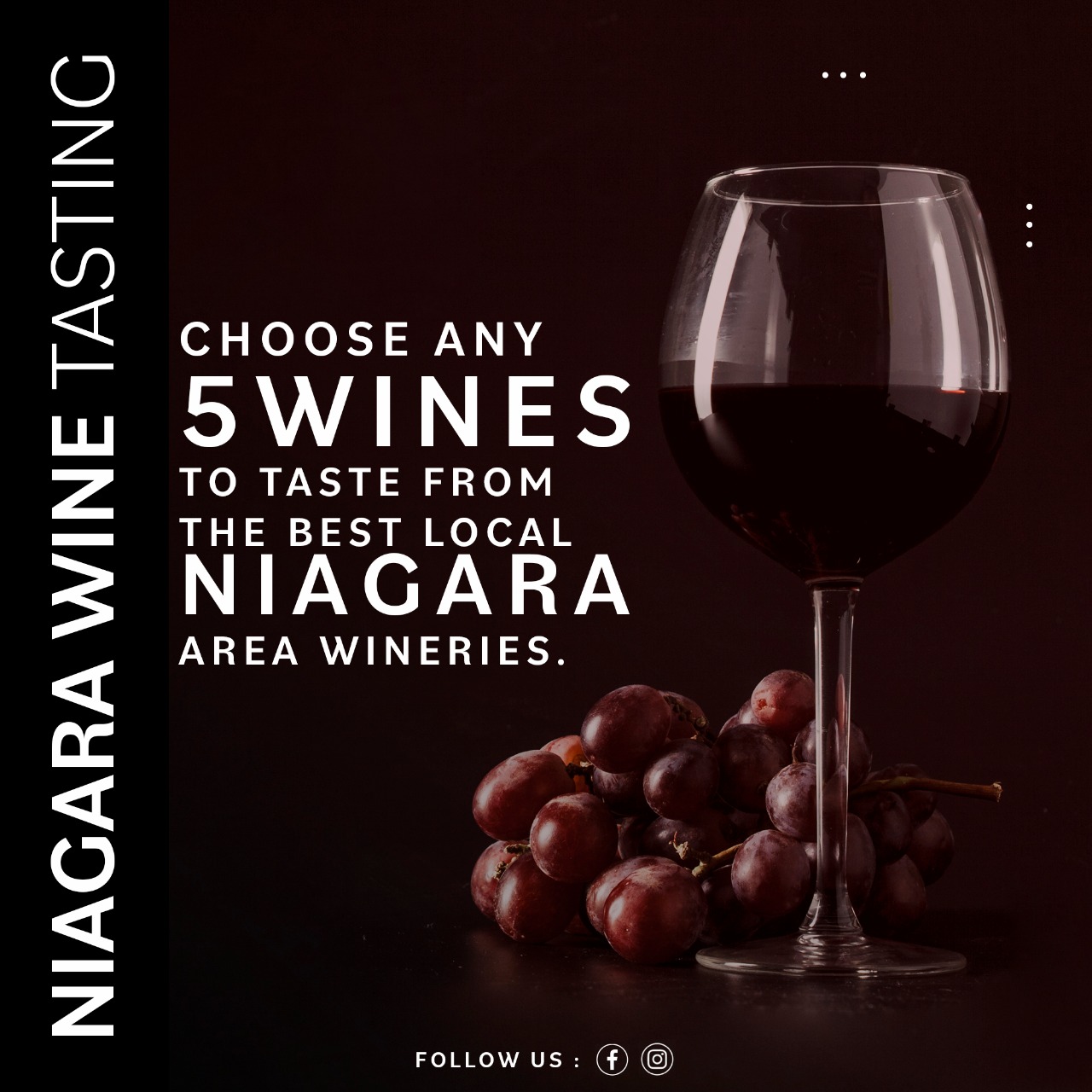NIAGARA WINE TASTING